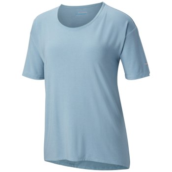 Columbia Fairview II Short Sleeve, Camiseta Grises Azules Para Mujer | 725483-RHS